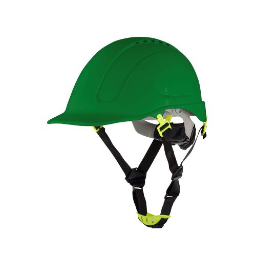 Procera Morion sisak