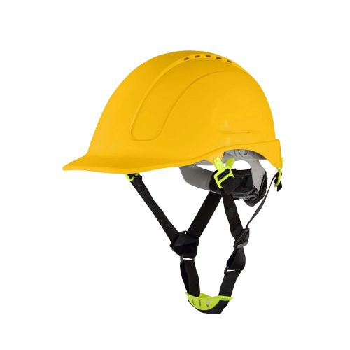 Procera Morion sisak